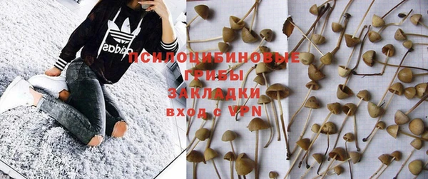 каннабис Гусиноозёрск