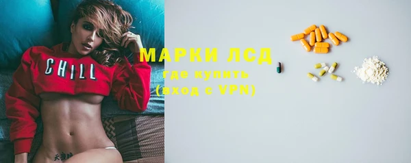 сатива Гусь-Хрустальный