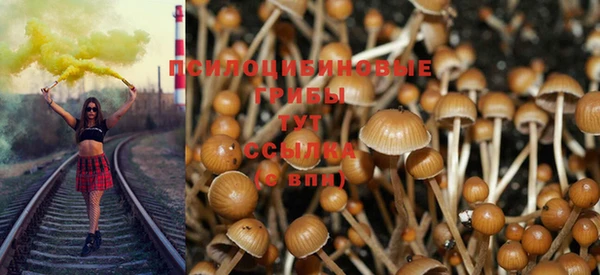 сатива Гусь-Хрустальный