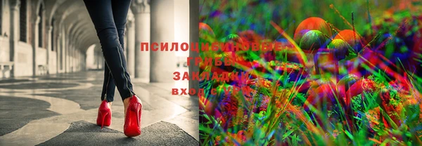 сатива Гусь-Хрустальный