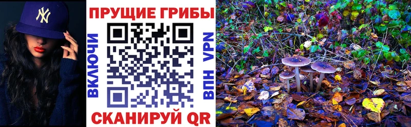 Галлюциногенные грибы Magic Shrooms  Тайга 