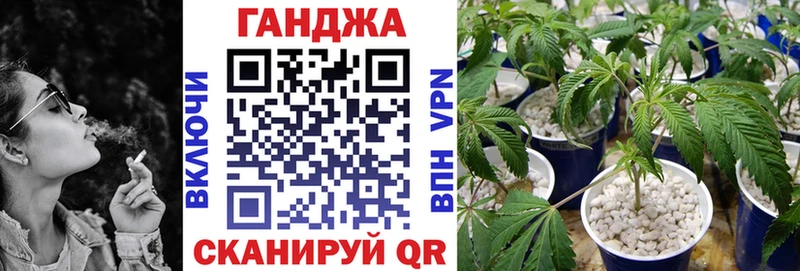 МАРИХУАНА конопля  Тайга 
